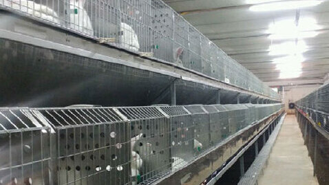 GRIMAUD ITALIA VERS DE NOUVEAUX OBJECTIFS